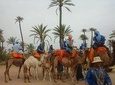 Camel ride Marrakech palmeraie