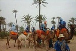Camel ride Marrakech palmeraie