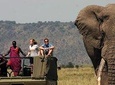 6 Days Tanzania Wildlife Camping Safari