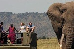 6 Days Tanzania Wildlife Camping Safari