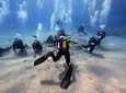 Discover Scuba Diving