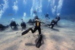 Discover Scuba Diving