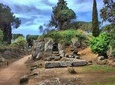 Ancient Etruscan Civilization Tour from Rome