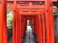 Tokyo Private Tour to Learn History and Shinto