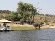 Full Day Chobe Safari start VictoriaFalls +lunch at floating restaurant or lodge