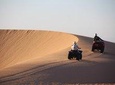 Big dunes and atlantic coast tour 2 HOURS