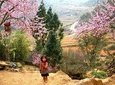 Sapa 3 Days 2 Nights Trekking Tour (1 Night In Ta Van Village, 1 Night In Hotel)
