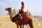 Giza Pyramids by Camel