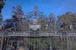 Scandals Tour of Hollywood and Beverly Hills