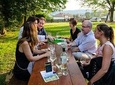 Countryside Half Day Wine Tour near Vienna