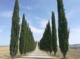 Montepulciano Wine & Pienza Flavors Day Tour from Rome