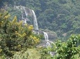6 Days Udzungwa Mountain NP, Ruaha NP and Mikumi NP Private Wildlife Safari