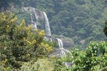 6 Days Udzungwa Mountain NP, Ruaha NP and Mikumi NP Private Wildlife Safari