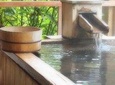 Hakone Onsen Experience, Lake Ashi, Open-Air Museum Tour