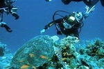 Ras Mohammed snorkeling sea tour by boat