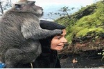 Bali Volcano Trekking