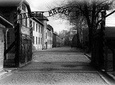 Auschwitz Private Tour