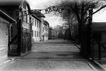 Auschwitz Private Tour
