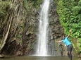 Half-Day Shared Group Tour in Kingstown and Dark View Falls