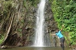 Half-Day Shared Group Tour in Kingstown and Dark View Falls