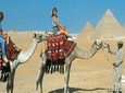 Camel Ride or Horse around the Pyramids