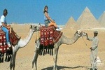 Camel Ride or Horse around the Pyramids
