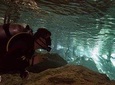 3 Cenote Dives - Casa & Dos Ojos