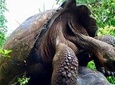 6 Day Land-Base Trip Isabela and 2 Islands