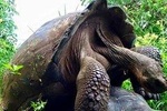 6 Day Land-Base Trip Isabela and 2 Islands