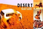 Desert Safari in Dubai with BBQ Dinner and Live Shows
