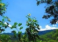 9 Day Trip Andes Essences Small Groups from Quito to Guayaquil