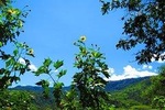 9 Day Trip Andes Essences Small Groups from Quito to Guayaquil