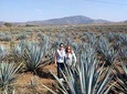 Tequila Tour Route