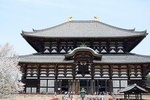 Nara Private Tour by Public Transportation from Osaka