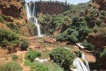 Ouzoud Waterfall & Middle Atlas Mountain Full-Day Tour from Marrakech
