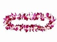 Orchid Airport Lei Greeting (Maui, Kahului Airport, OGG)