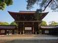 Meiji Jingu Shrine Half-day Tour by public transportation