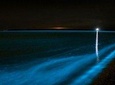 Bioluminescence Kayak Tour