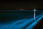 Bioluminescence Kayak Tour