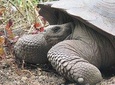 5-Day Trip in San Cristobal Galapagos Land-based/Low budget 