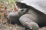 5-Day Trip in San Cristobal Galapagos Land-based/Low budget 