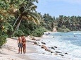 Glamourous Sri Lanka 7 Days Tour