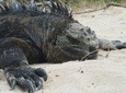 5-Day Land-Based Tour in Galapagos Islands