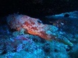 Etna & Diving Jeep Tour