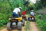 Roatan Jungle & Beach ATV Adventure