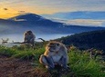 Trekking Tour At Mount Batur At Sunrise
