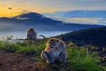 Trekking Tour At Mount Batur At Sunrise