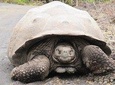 8-Day Land-based Trip in Galápagos exploring 5 Islands/Low budget 