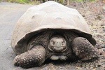 8-Day Land-based Trip in Galápagos exploring 5 Islands/Low budget 