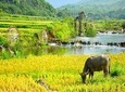 Mai Chau 1 Day Tour From Hanoi